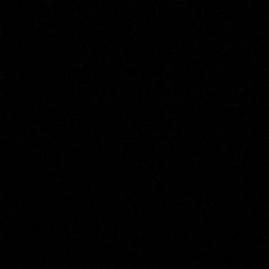 Meet your Posher, Lynette